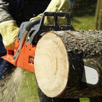 The chainsaw cutting the log of wood