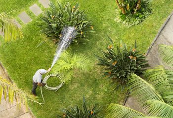 utility worker gardener  with hose for watering the plants and trees  in tropical garden